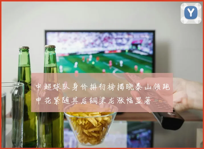中超球队身价排行榜揭晓泰山领跑申花紧随其后铜梁龙涨幅显著