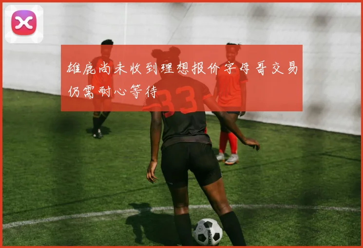 雄鹿尚未收到理想报价字母哥交易仍需耐心等待